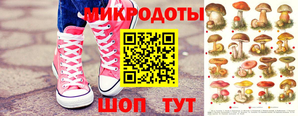 Галлюциногенные грибы мицелий Лесной