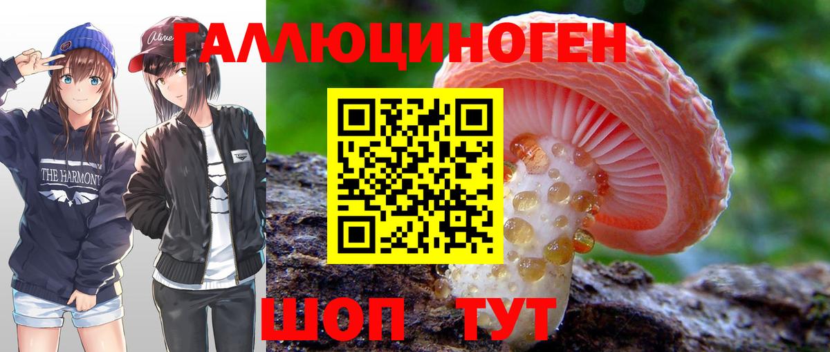 Псилоцибиновые грибы прущие грибы Лесной