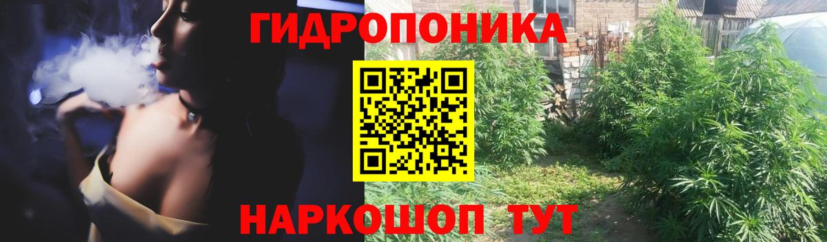 Каннабис Amnesia  Канабис White Widow  Конопля AK-47  Лесной 